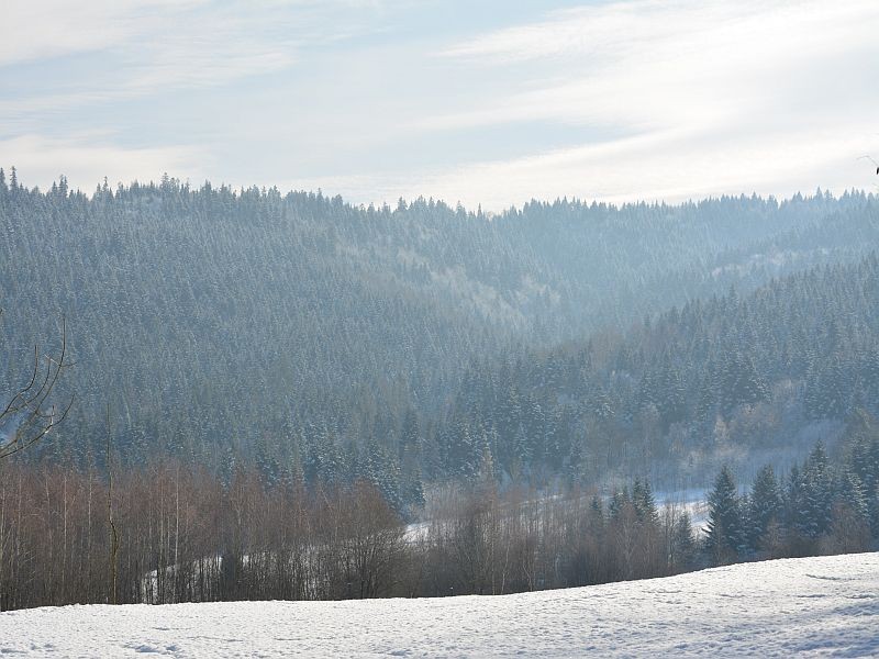 DSC_0033