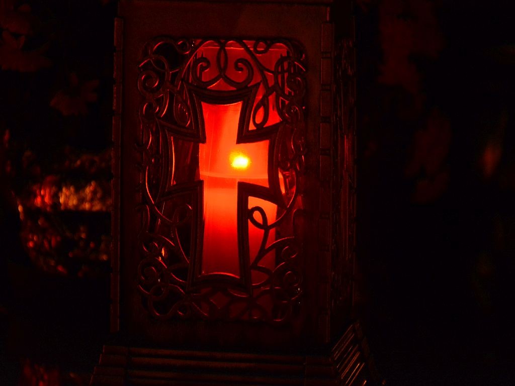 DSC_0091-