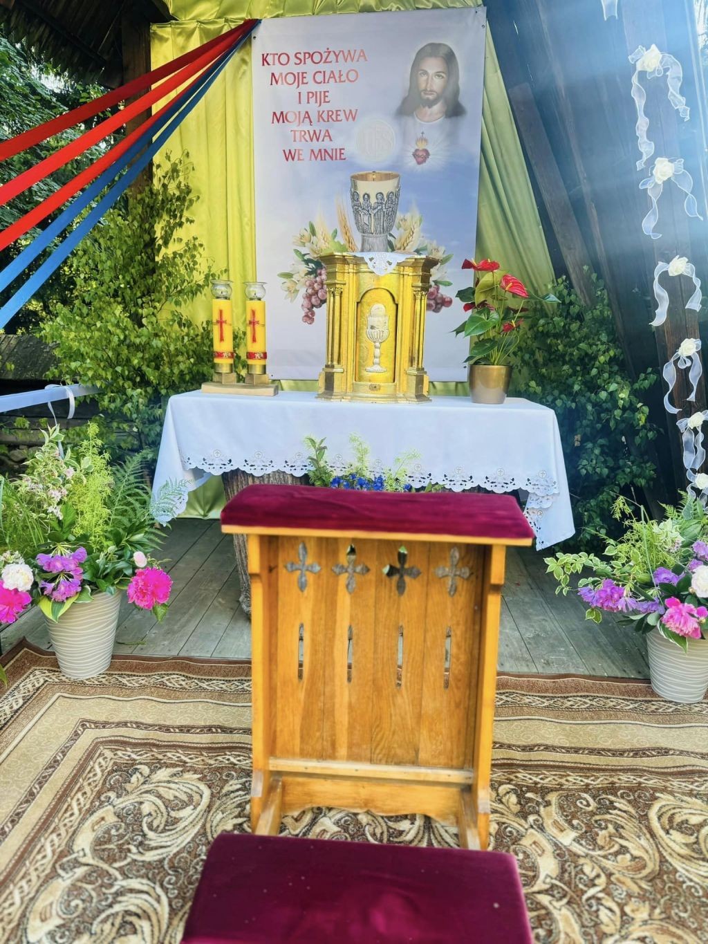 444479923_2311297059202326_733314888298961640_n