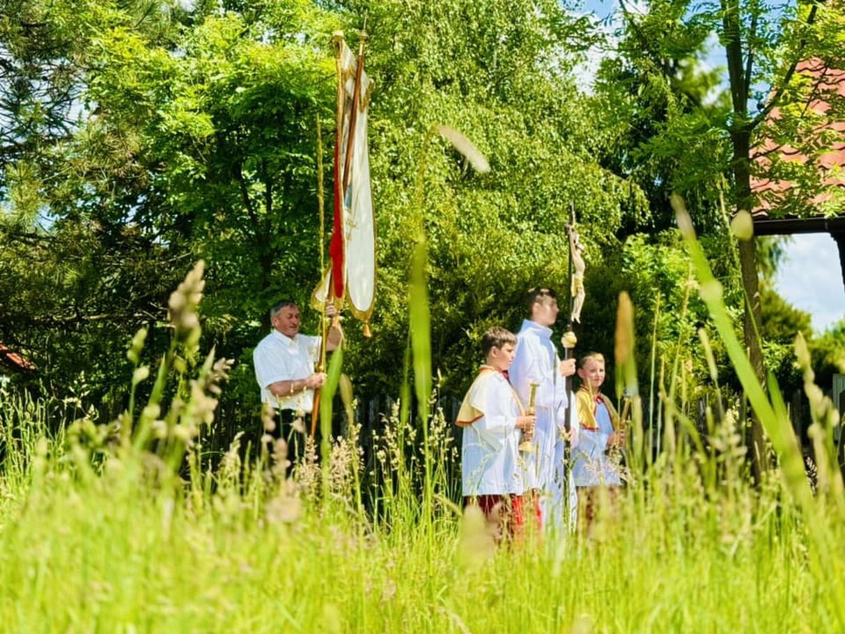 445185776_2311293635869335_8472749939437041649_n