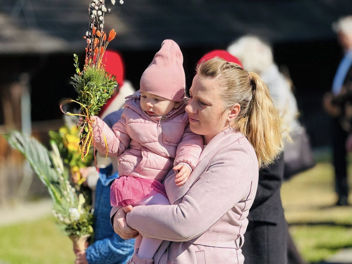 490805441_2578842479114448_8033631976484578155_n